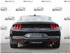 2025 Ford Mustang EcoBoost Premium (Stk: 250132) in Hamilton - Image 5 of 26