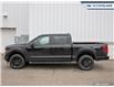 2025 Ford F-150 STX (Stk: 25F1164) in Newmarket - Image 3 of 25