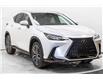 2025 Lexus NX 350 Base (Stk: 081552) in Brampton - Image 3 of 22