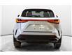 2025 Lexus NX 350 Base (Stk: 081552) in Brampton - Image 5 of 22