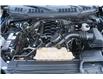 2018 Ford F-150 XLT (Stk: P11857) in Red Deer - Image 11 of 26