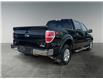 2013 Ford F-150 XLT (Stk: BT2961) in Saskatoon - Image 5 of 15