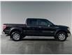 2013 Ford F-150 XLT (Stk: BT2961) in Saskatoon - Image 6 of 15