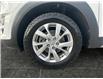 2019 Hyundai Tucson Preferred (Stk: XP342C) in Saskatoon - Image 15 of 15