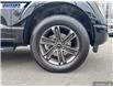 2021 Ford F-150 XLT (Stk: P3198L) in Dartmouth - Image 6 of 23