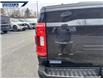2021 Ford F-150 XLT (Stk: P3198L) in Dartmouth - Image 9 of 23