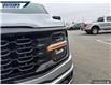 2025 Ford F-150 STX (Stk: 26881) in Dartmouth - Image 9 of 25
