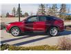 2025 Buick Envista Preferred (Stk: 24097) in Red Deer - Image 7 of 19