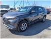 2022 Hyundai Tucson ESSENTIAL in Ottawa - Image 20 of 26