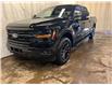 2025 Ford F-150 XLT (Stk: 25LT11) in St.Paul - Image 2 of 10