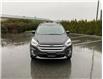 2019 Ford Escape SEL (Stk: HF9-9996A) in Chilliwack - Image 2 of 22