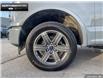 2020 Ford F-150 Lariat (Stk: P11573) in Brantford - Image 6 of 23