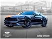 2025 Ford Mustang EcoBoost (Stk: 250351) in Toronto - Image 1 of 25