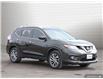 2015 Nissan Rogue SL (Stk: 241026A) in Orangeville - Image 7 of 32
