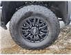 2024 Chevrolet Silverado 2500HD ZR2 (Stk: N250215A) in Stony Plain - Image 5 of 50