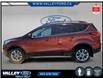 2019 Ford Escape SEL (Stk: 25032A) in Kentville - Image 5 of 19