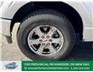 2021 Ford F-150 XLT (Stk: TL75721) in Windsor - Image 2 of 27