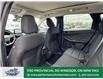 2025 Ford Escape Active (Stk: ES78426) in Windsor - Image 13 of 24