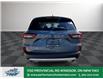2025 Ford Escape Active (Stk: ES76566) in Windsor - Image 6 of 28