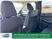 2025 Ford Escape Active (Stk: ES76566) in Windsor - Image 13 of 28