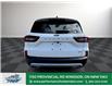 2025 Ford Escape PHEV (Stk: ES94193) in Windsor - Image 6 of 27