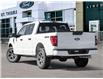 2024 Ford F-150 STX (Stk: T4982) in St. Thomas - Image 4 of 20