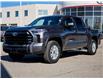 2025 Toyota Tundra SR (Stk: 25173) in Hamilton - Image 4 of 26