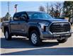 2025 Toyota Tundra SR (Stk: 25173) in Hamilton - Image 6 of 26