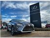 2019 Lexus RX 350 Base (Stk: 250684A) in Calgary - Image 7 of 24