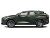 2025 Lexus NX 350h Base (Stk: L25678) in Calgary - Image 2 of 12