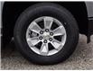 2025 Chevrolet Silverado 1500 Work Truck (Stk: LC1S00293) in Tilbury - Image 8 of 27