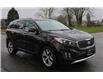 2017 Kia Sorento 2.0L SX (Stk: DK984) in Vancouver - Image 8 of 25