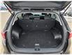2022 Kia Sportage EX S (Stk: B0502) in Saskatoon - Image 24 of 24