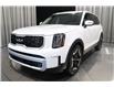 2025 Kia Telluride EX (Stk: 26023) in Edmonton - Image 7 of 30