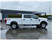2021 Ford F-250  (Stk: M25-0172P) in Chilliwack - Image 8 of 24