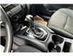 2019 Nissan Rogue SV (Stk: NI5616) in Cranbrook - Image 13 of 30