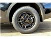 2025 Kia Sorento 2.5T X-Pro w/Black Interior (Stk: SSR0337) in Sherwood Park - Image 11 of 15