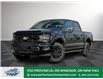2025 Ford F-150 XLT (Stk: FS32333) in Windsor - Image 1 of 27