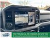 2025 Ford F-150 XLT (Stk: FS32333) in Windsor - Image 25 of 27