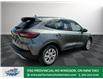 2025 Ford Escape Active (Stk: ES76392) in Windsor - Image 7 of 27