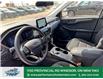 2025 Ford Escape Active (Stk: ES76392) in Windsor - Image 18 of 27
