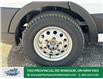2025 Ford Transit-250 Cargo Base (Stk: TN32906) in Windsor - Image 3 of 44
