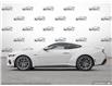 2025 Ford Mustang GT Premium (Stk: 5G012) in Oakville - Image 3 of 20