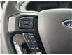 2025 Ford F-650 Gas Base (Stk: VFF22868) in Chatham - Image 16 of 18