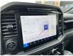 2025 Ford F-150 XLT (Stk: VF1F00699) in Chatham - Image 17 of 20