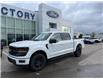 2025 Ford F-150 XLT (Stk: VF1F00699) in Chatham - Image 20 of 20
