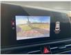 2025 Kia Niro Plug-In Hybrid EX (Stk: NH25002) in Cold Lake - Image 16 of 17
