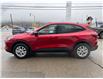 2025 Ford Escape Active (Stk: 25S817) in CRESTON - Image 4 of 25