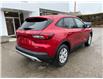 2025 Ford Escape Active (Stk: 25S817) in CRESTON - Image 7 of 25