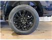 2025 Ford F-150 XLT (Stk: 25LT16) in St.Paul - Image 10 of 10